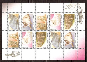 Россия, 1996, Кошки, малый лист